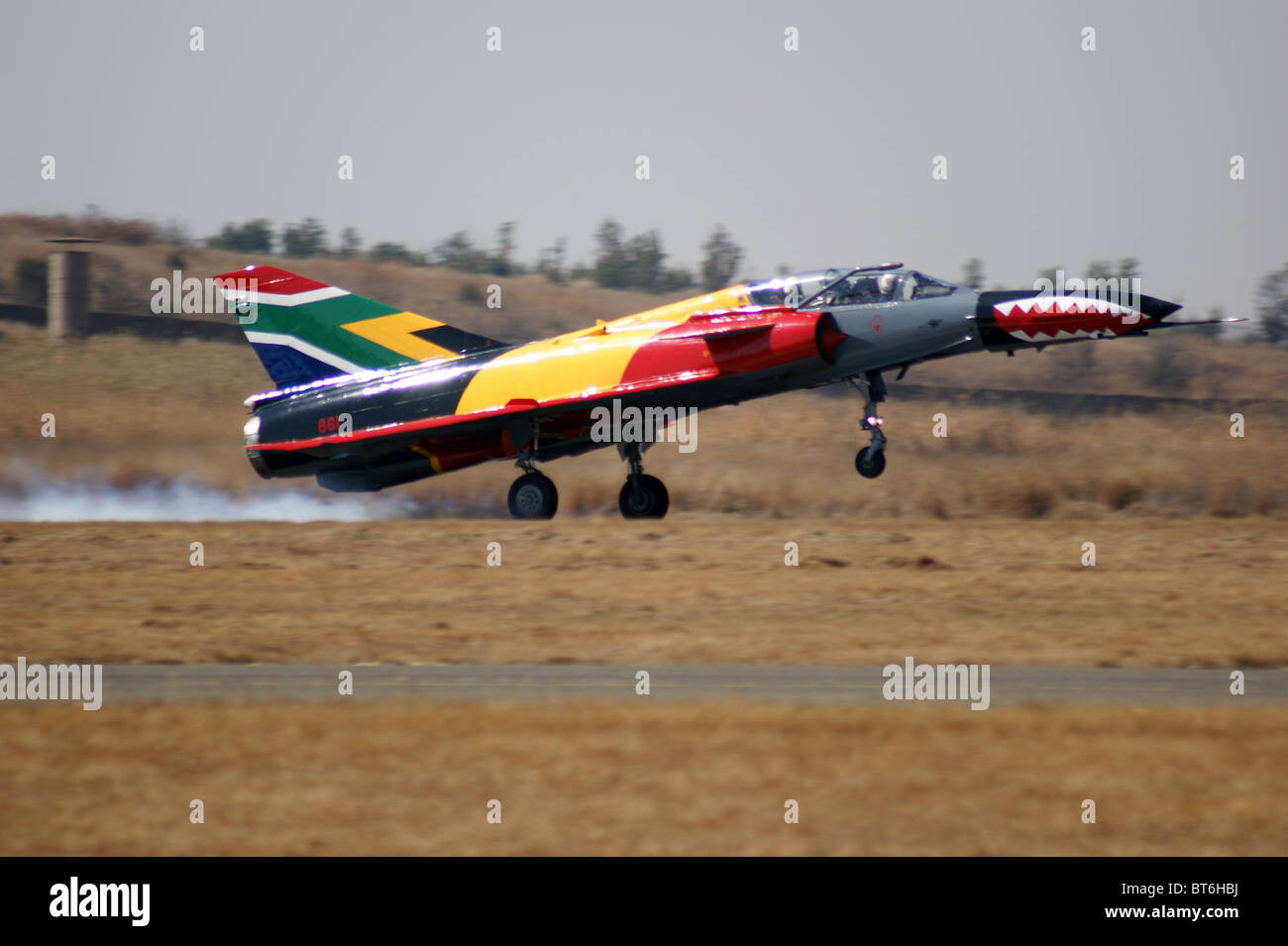 South African Atlas Cheetah D touch and go Stock Photo - Alamy