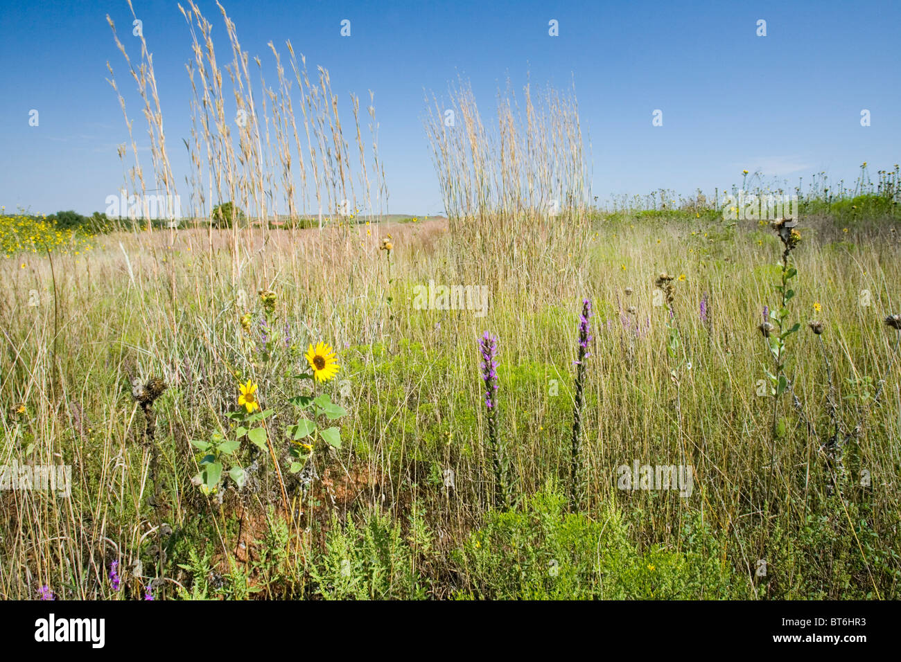 The Black Kettle National Grassland includes 31,300 acres near Cheyenne