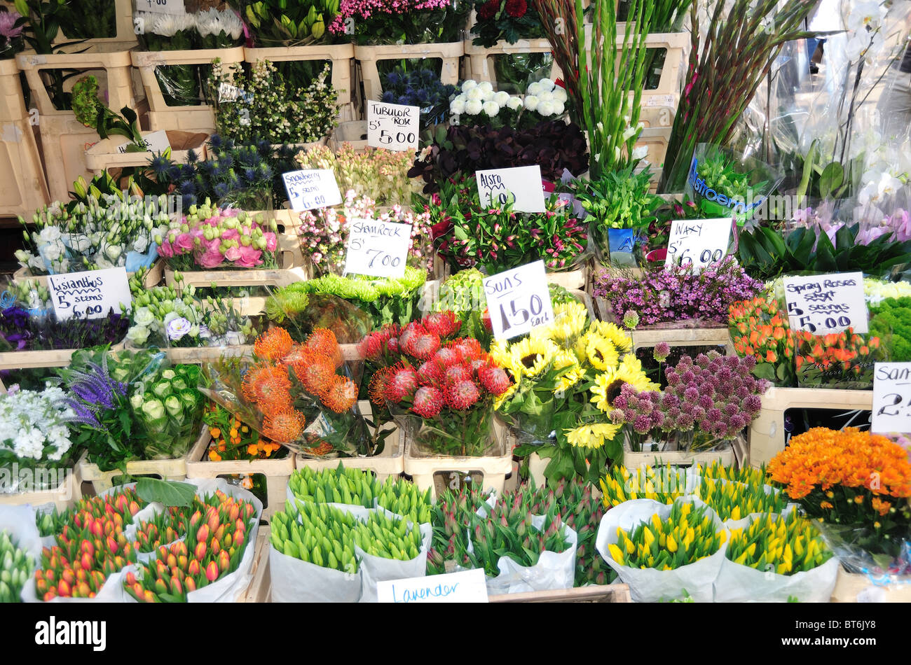 Florist stall, Portobello Food Market in Notting Hill, London, England