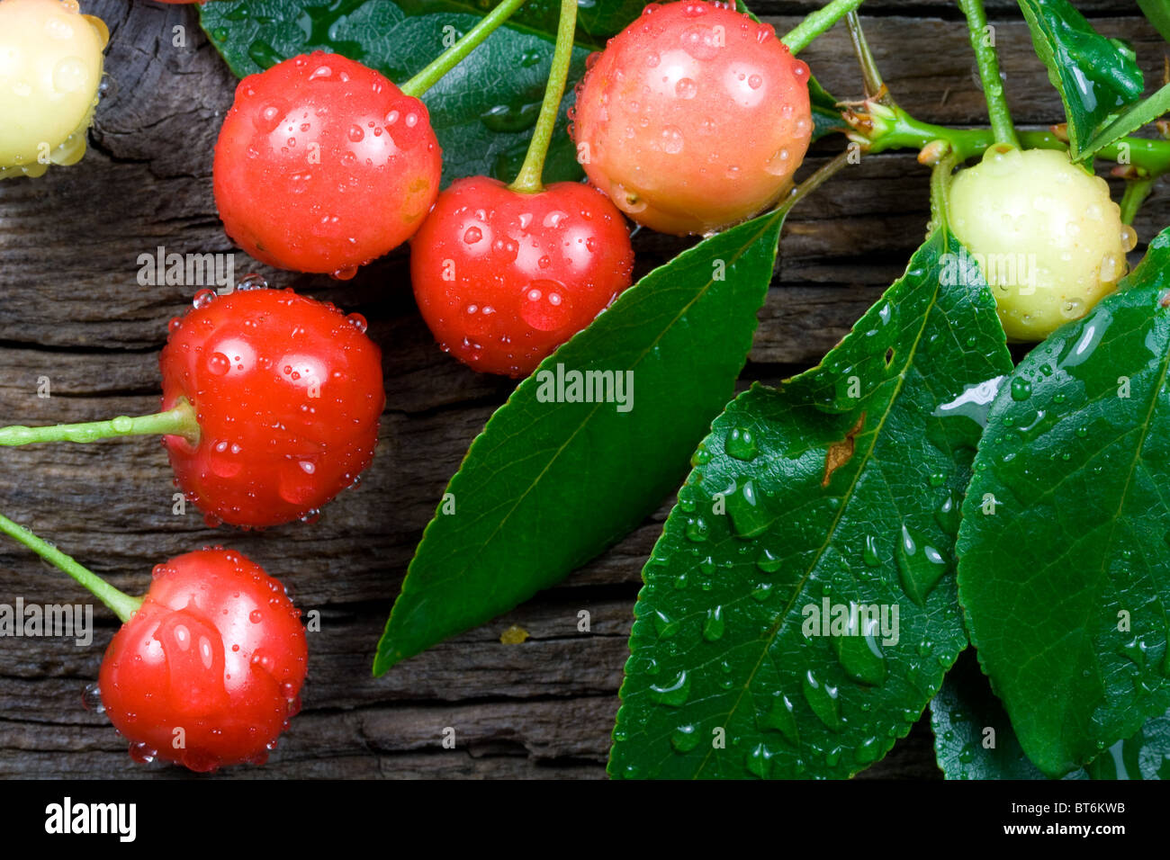 Red Ripe Cherries on Weathered Wood Stock Photo