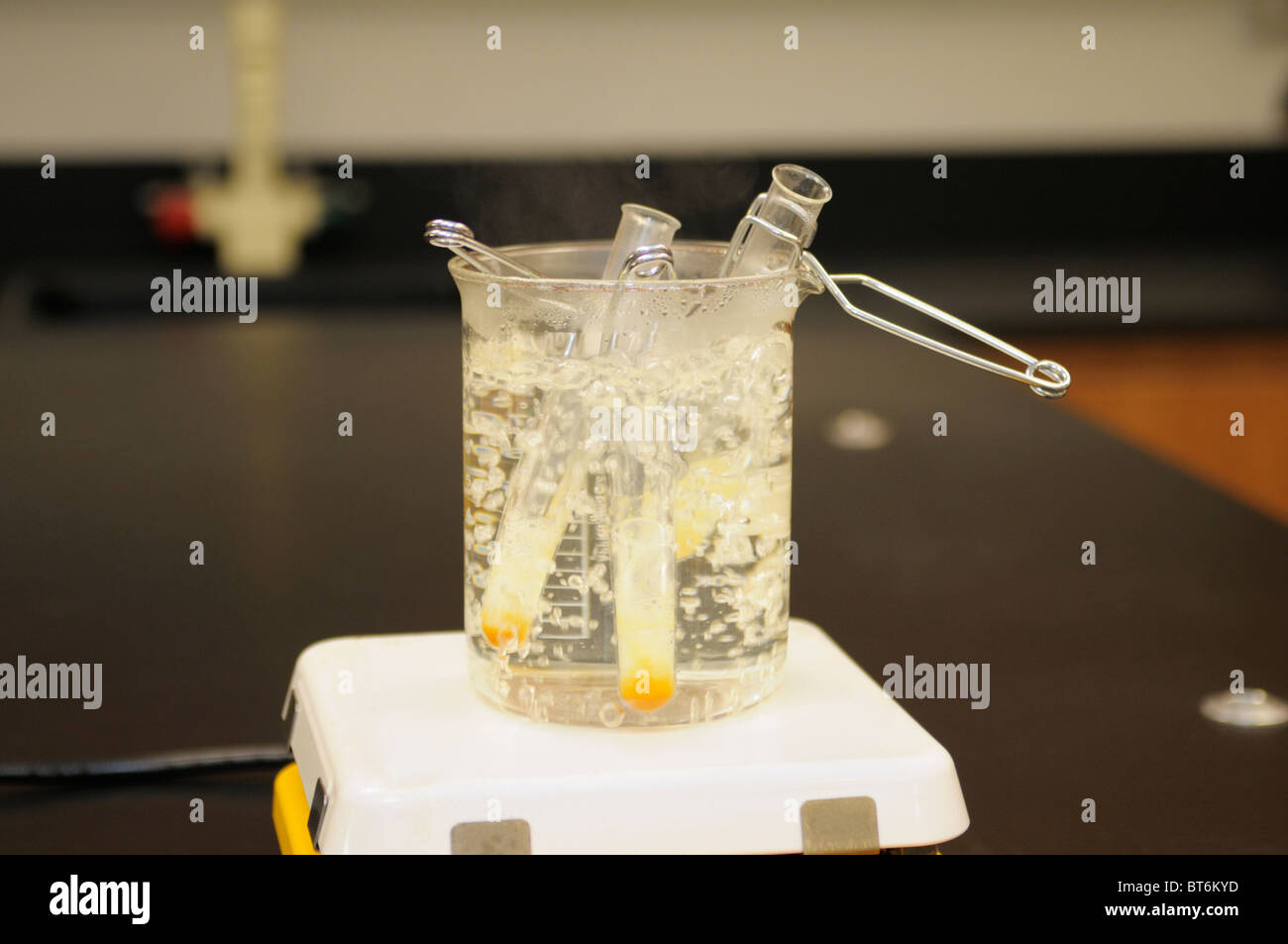 Benedict's Reagent test for sugar.  The yellow/orange color indicates sugar is present in the substance being tested. Stock Photo