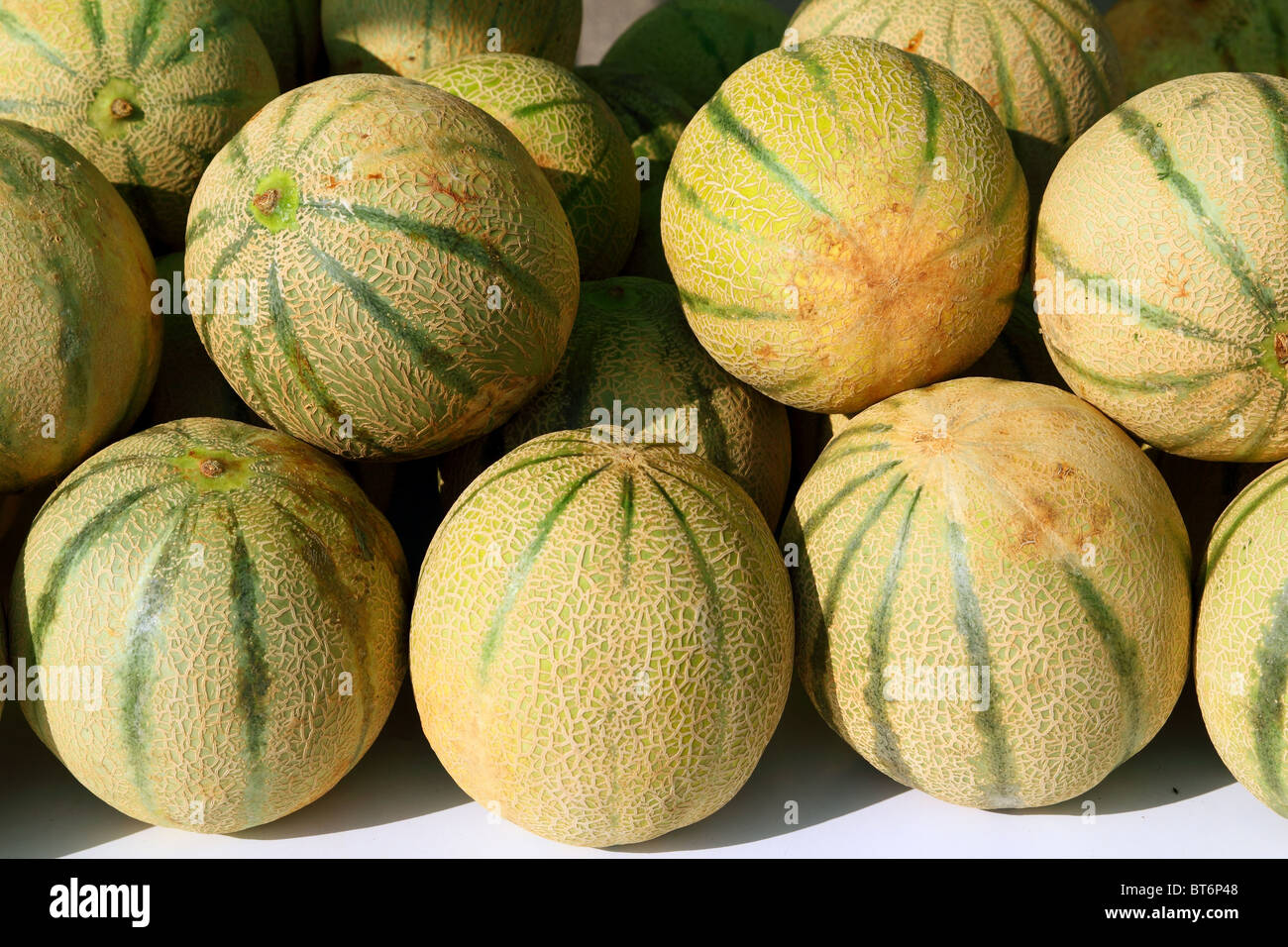 Cantaloupe rock melon muskmelon spanspek stacked on market Stock Photo