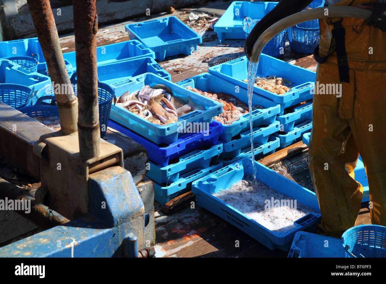 Cleaning fish boxes hi-res stock photography and images - Alamy