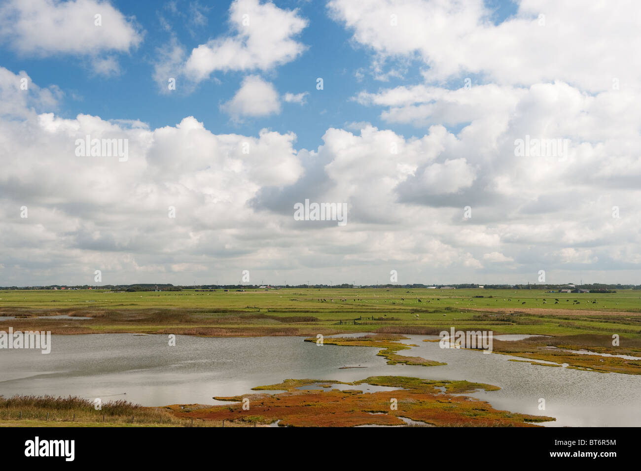 Natuurgebied de Putten in Camperduin Noord Holland achter de Hondsbossche zeewering Stock Photo