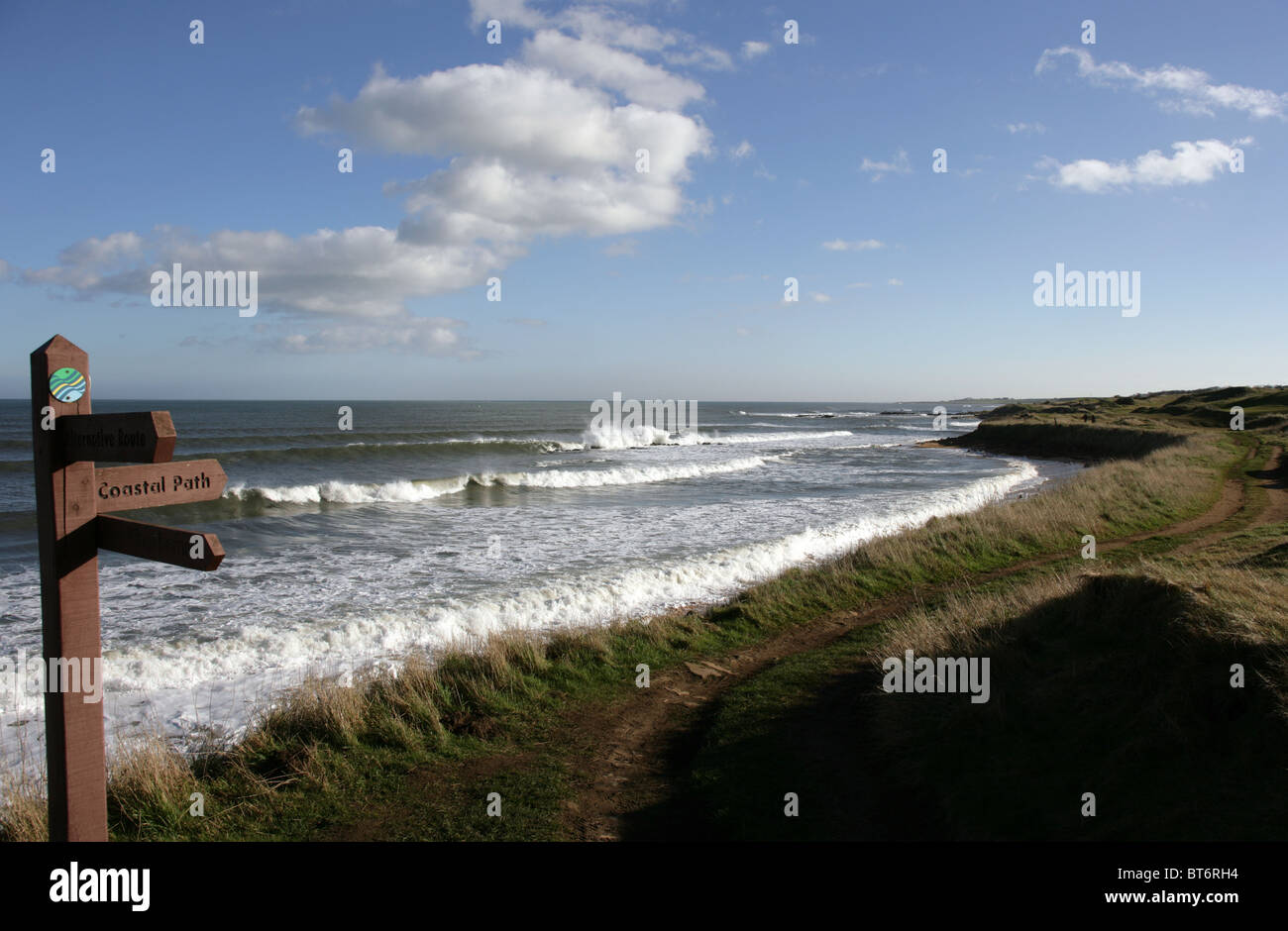 The Fife Coastal Path between Fife Ness and Kingsbarns Stock Photo Alamy