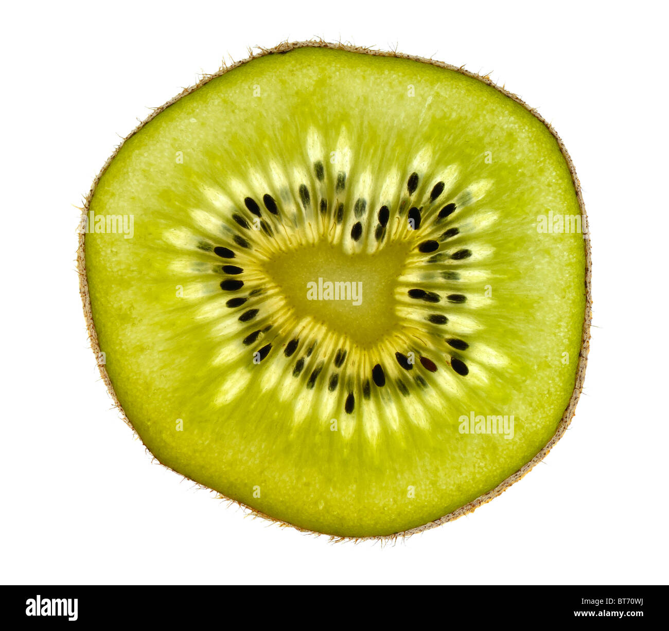 kiwi Stock Photo