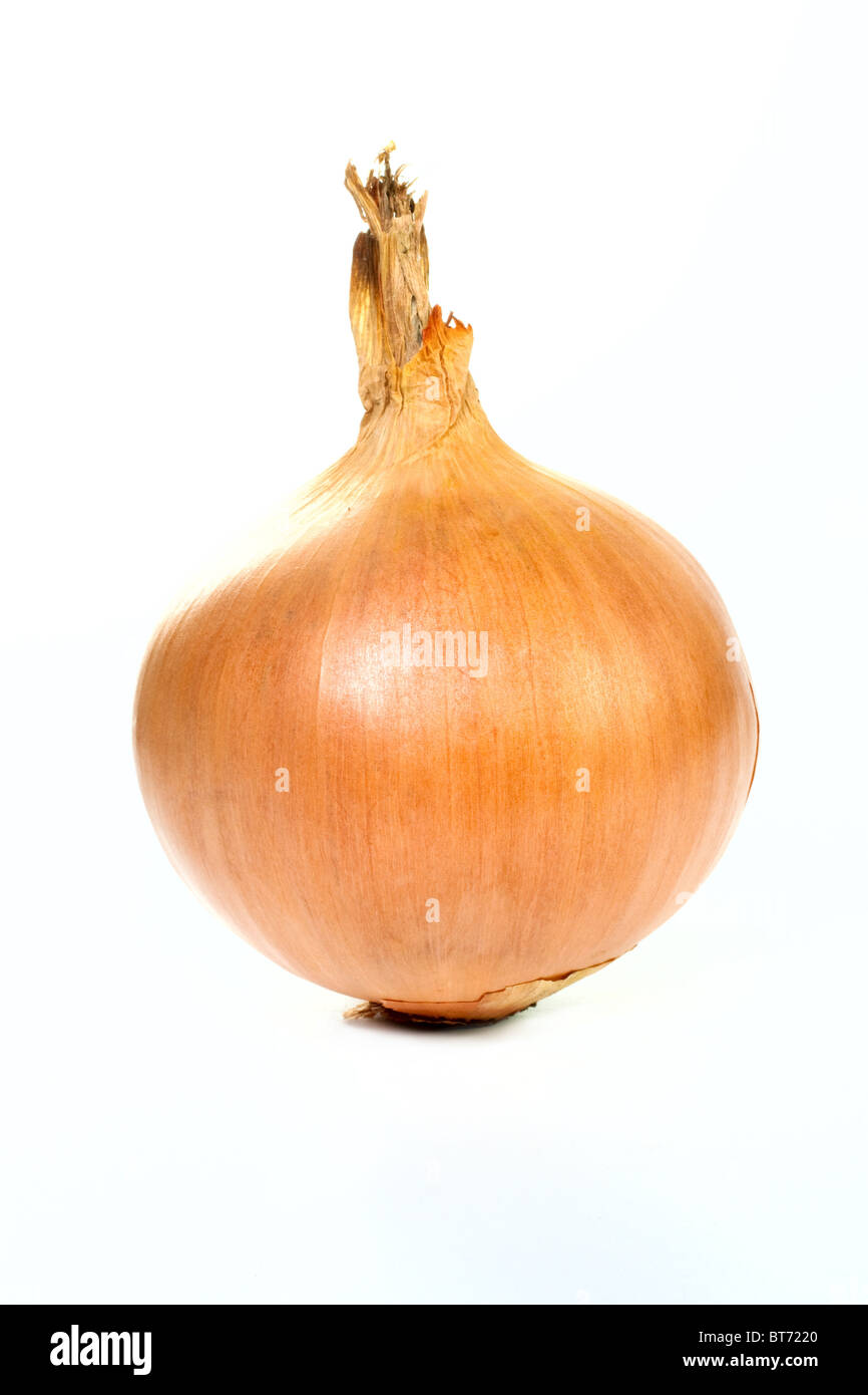Cutting onion crying hi-res stock photography and images - Alamy