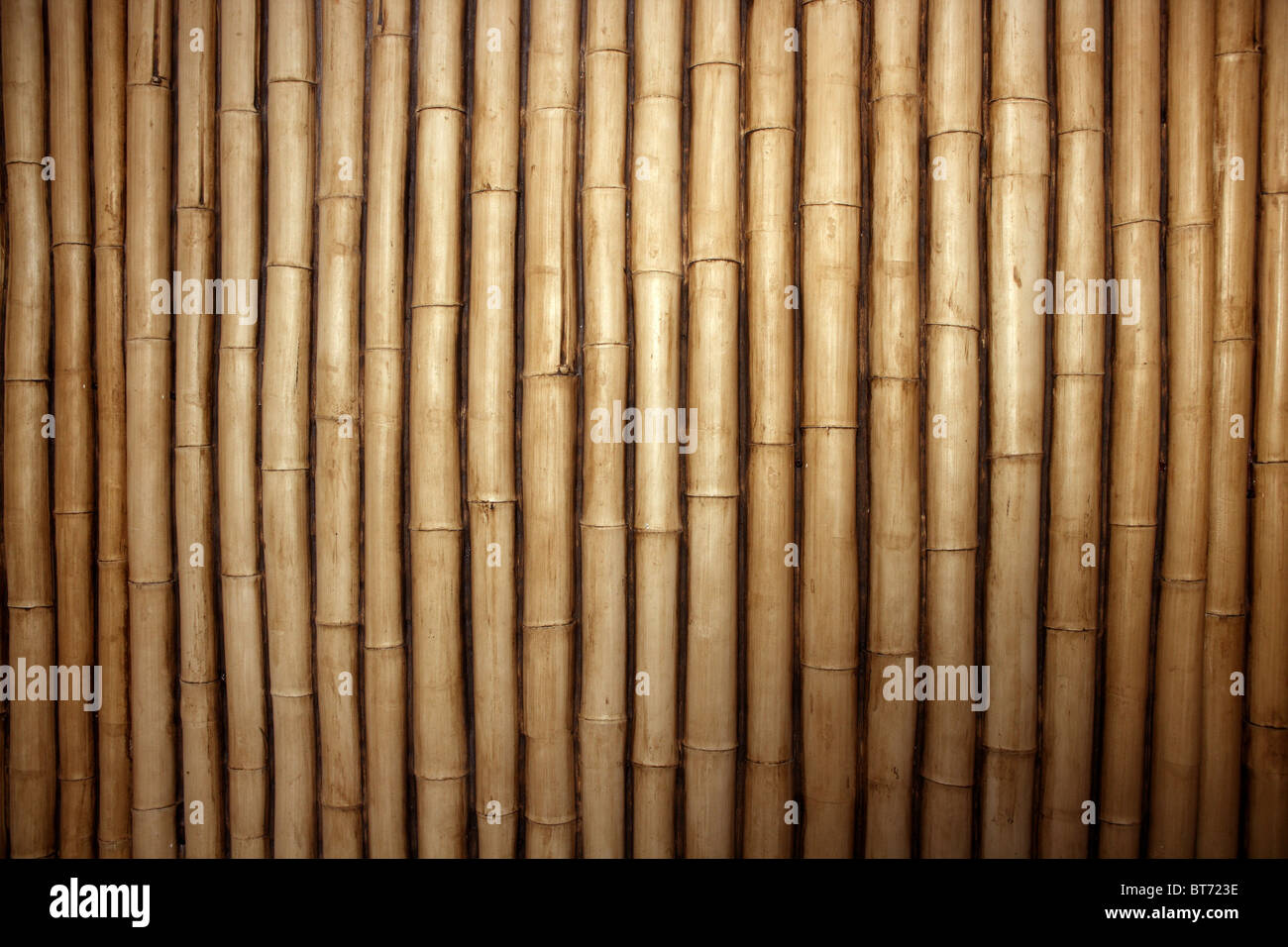 Bamboo cane row arrangement background pattern Stock Photo