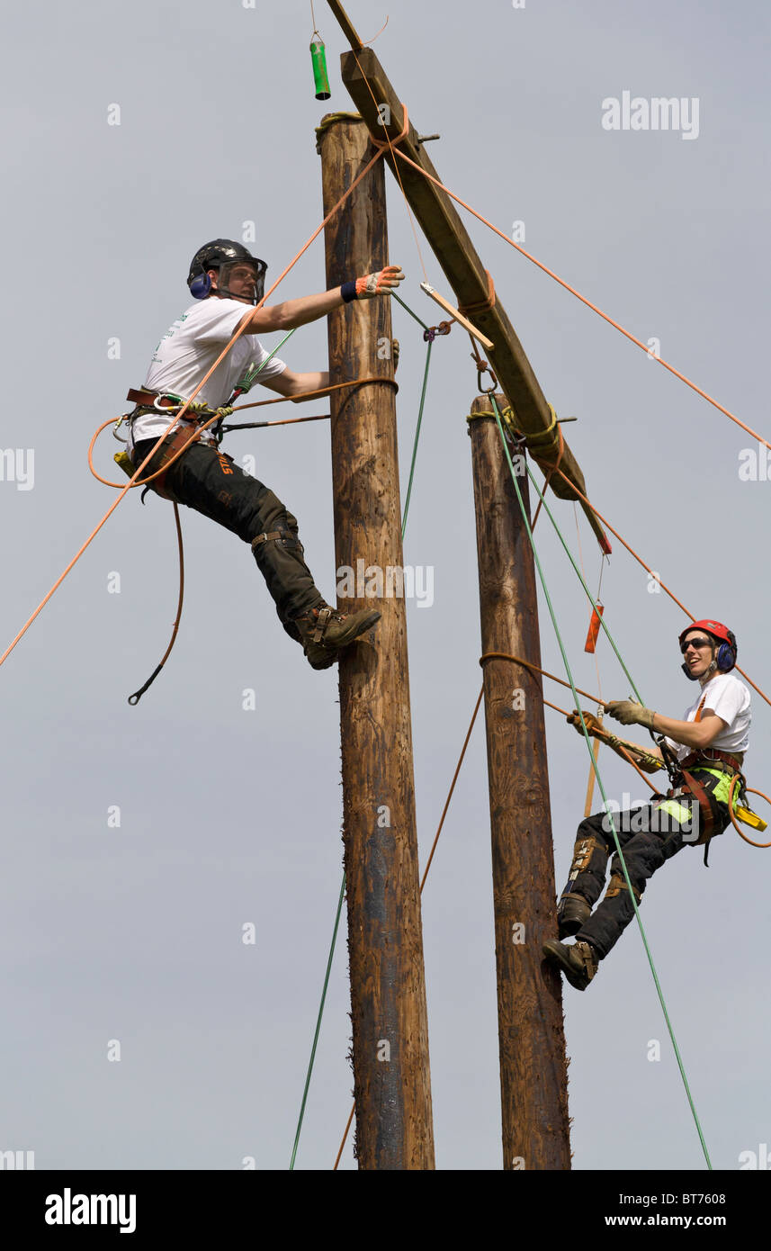 Pole climb racing using leg spikes and harness at the Norfolk Craft