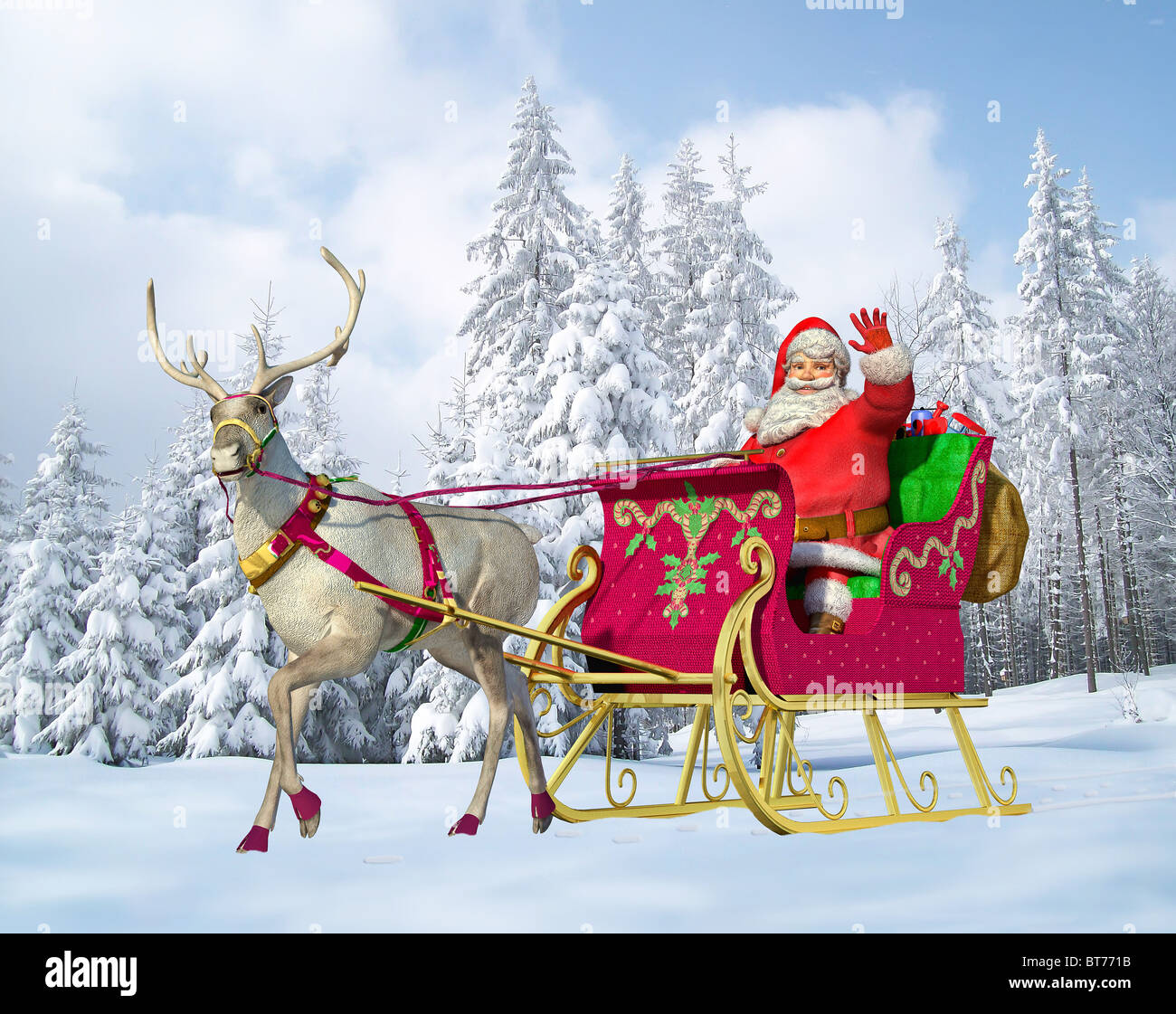 Santa claus driving a sleigh with reindeer, on a snowy ground, with a snowy forest on the background. Stock Photo