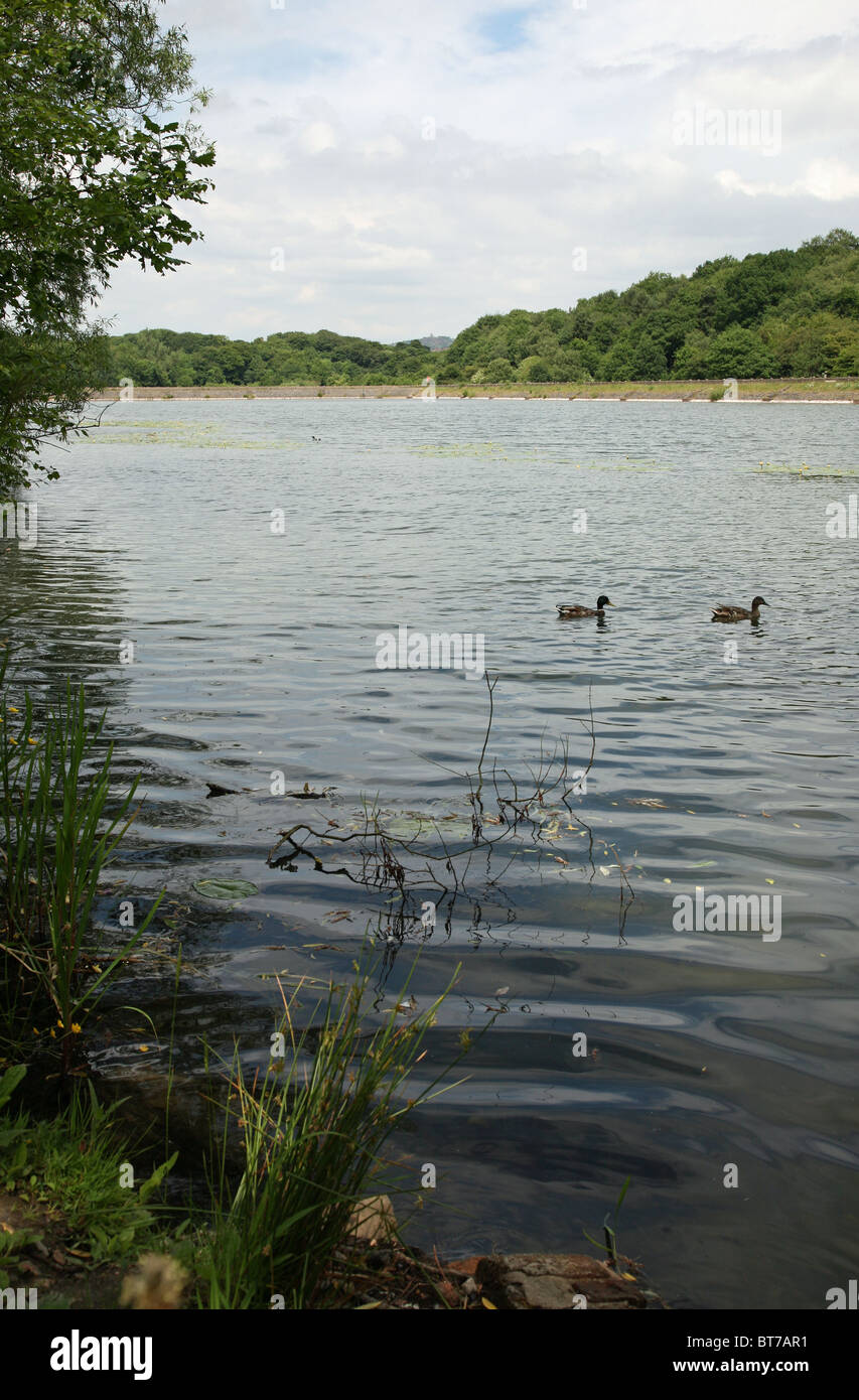 Bathpool, Kidsgrove, StokeonTrent, North Staffs., England, UK Stock