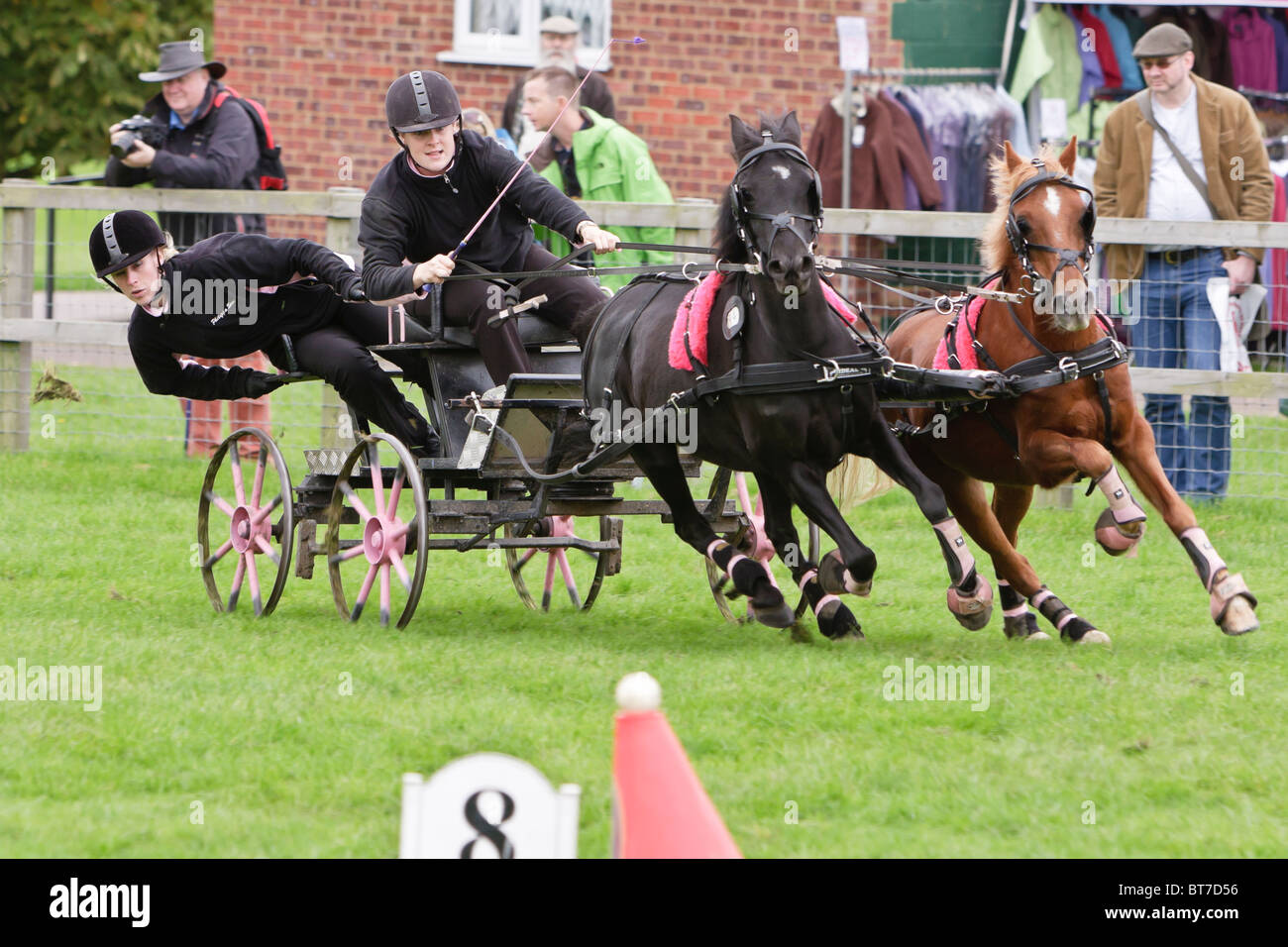 Lucy Scott Scurry Driving at Hertfordshire Game Fair 2010 Stock Photo