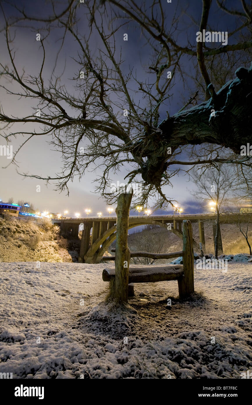 fairy bench and tree at night in park at winter Stock Photo