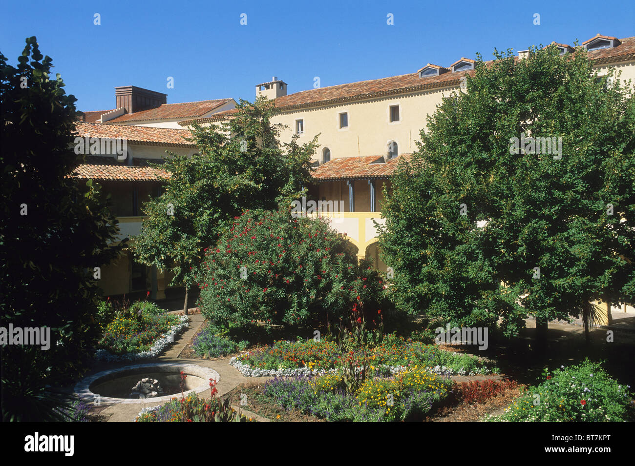 France, Bouches du Rhone, Arles, Espace Van Gogh, former Hotel-Dieu Stock Photo