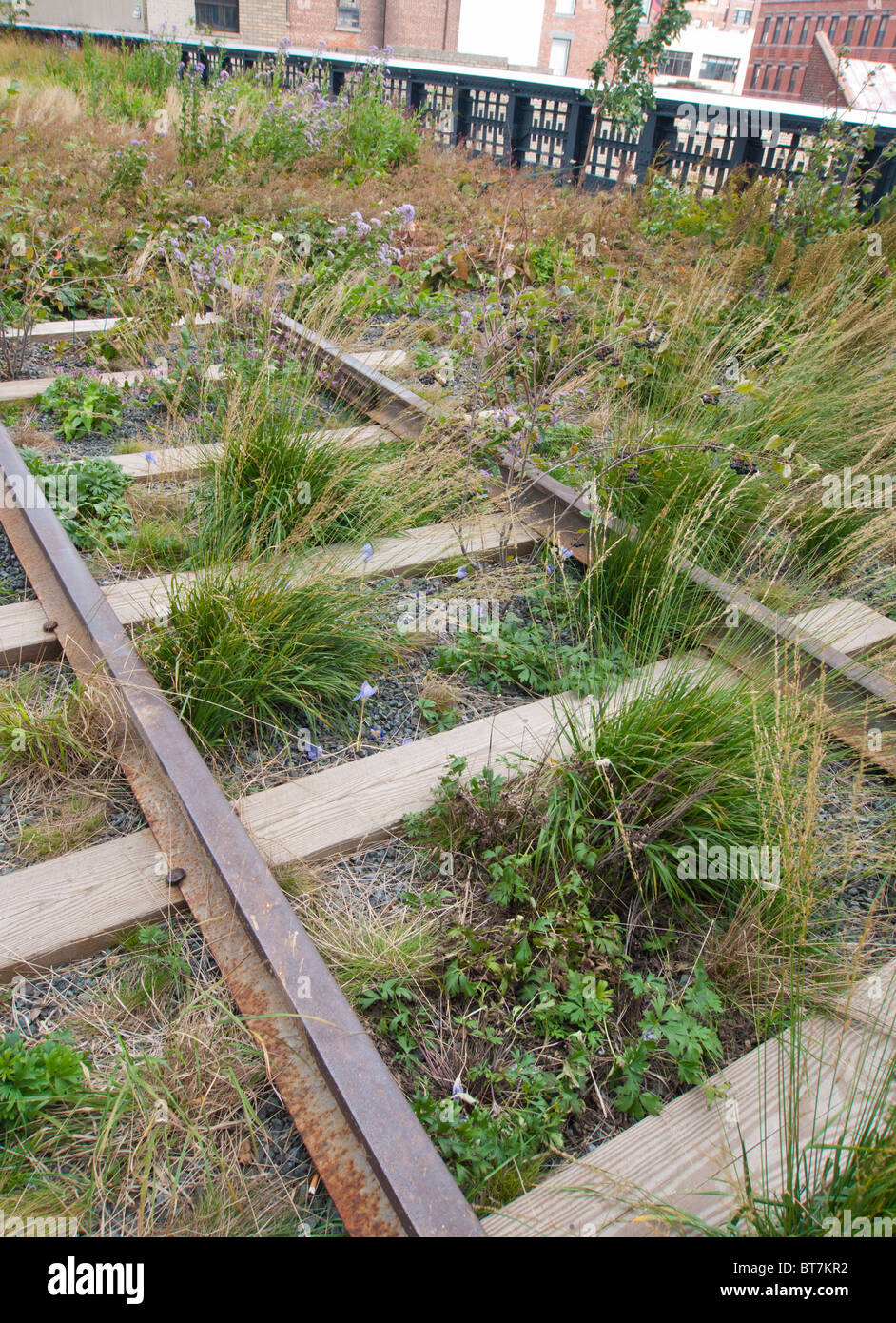 Old rail lines on the new High Line elevated landscaped walkway built