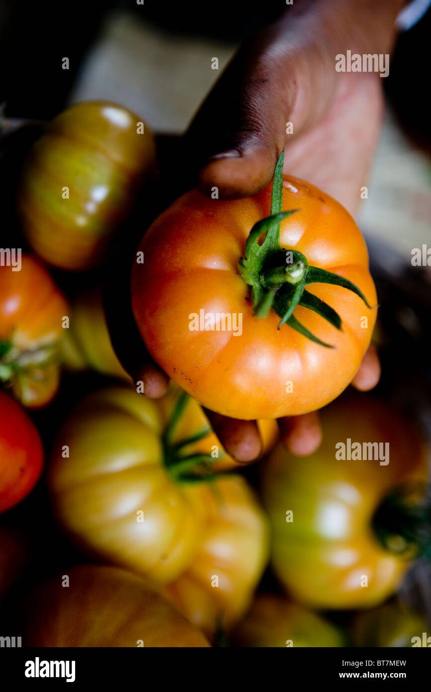 Large bucket hires stock photography and images Alamy