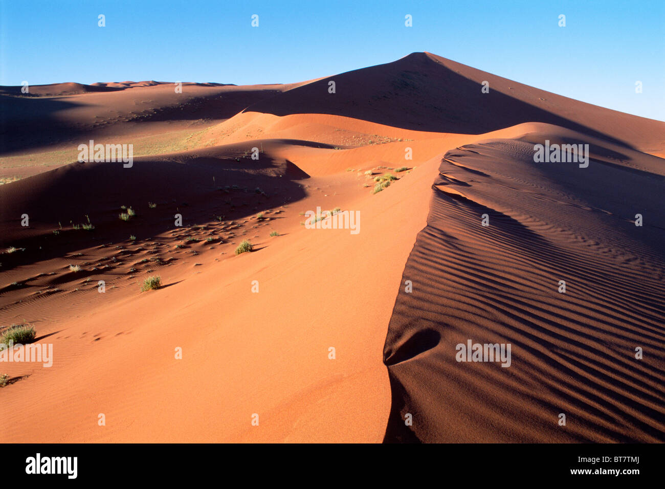 Star dunes in Sossusvlei, Namib Naukluft Park, Namibia, Africa Stock Photo