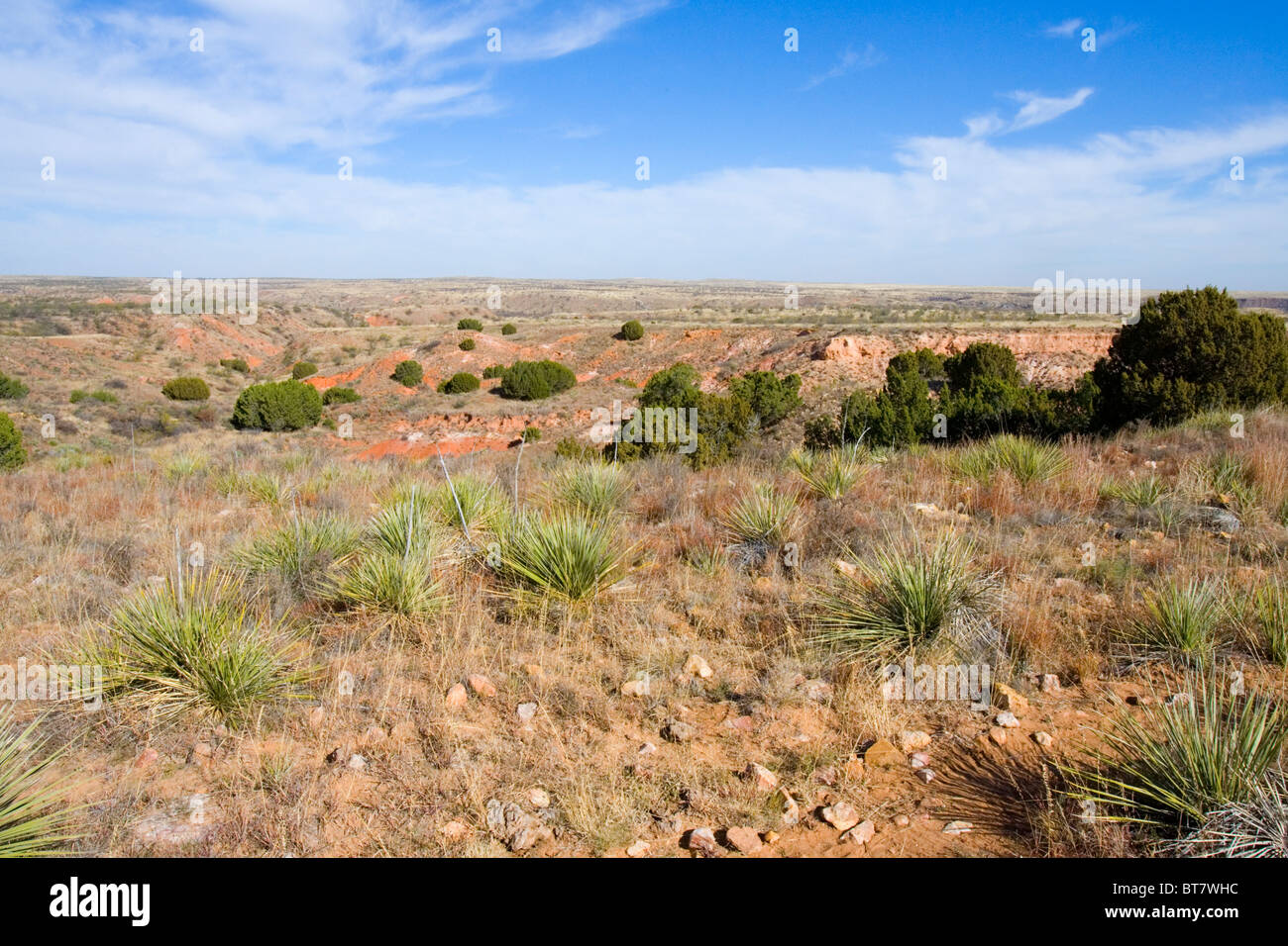 Rolling plains texas hi-res stock photography and images - Alamy