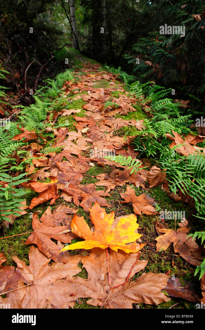 hiking trail Stock Photo