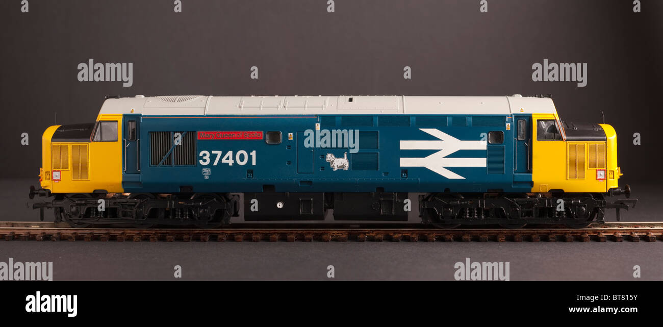 Class 37 Diesel Mary Queen Of Scots, BR Blue Large Logo