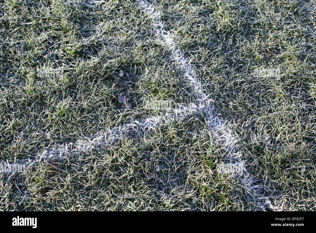 white lines on grass Stock Photo Alamy