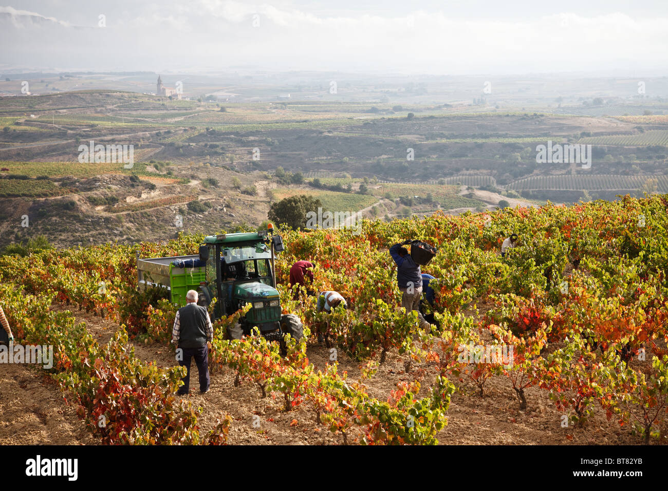 8 October 2010 Moroccan workers during Rioja grape harvest at Casa Primicia winery, Laguardia, Alava, Basque Country, Spain. Stock Photo