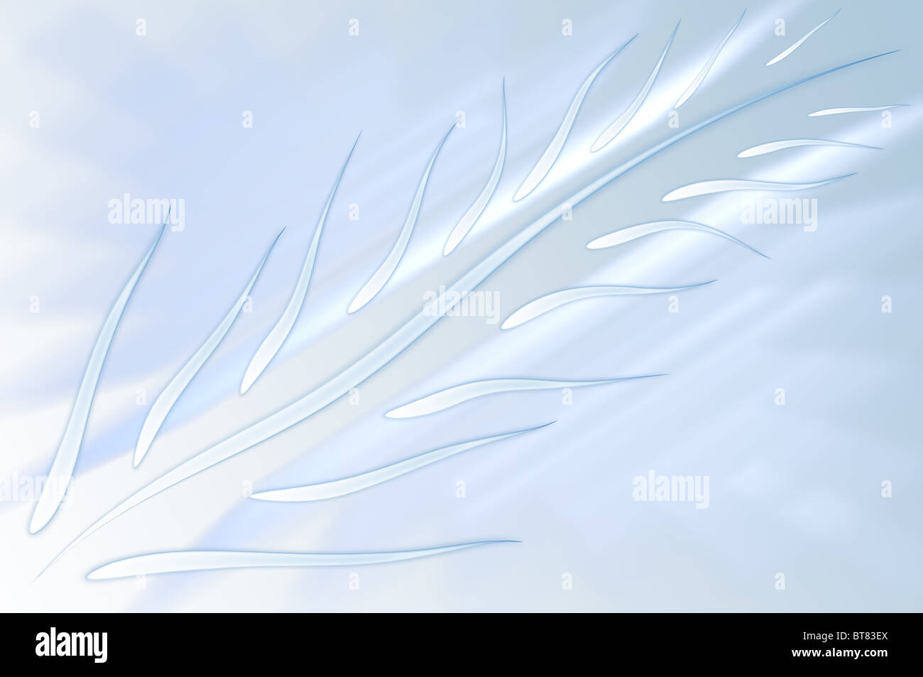Light blue abstract background with conventionalized feather Stock Photo