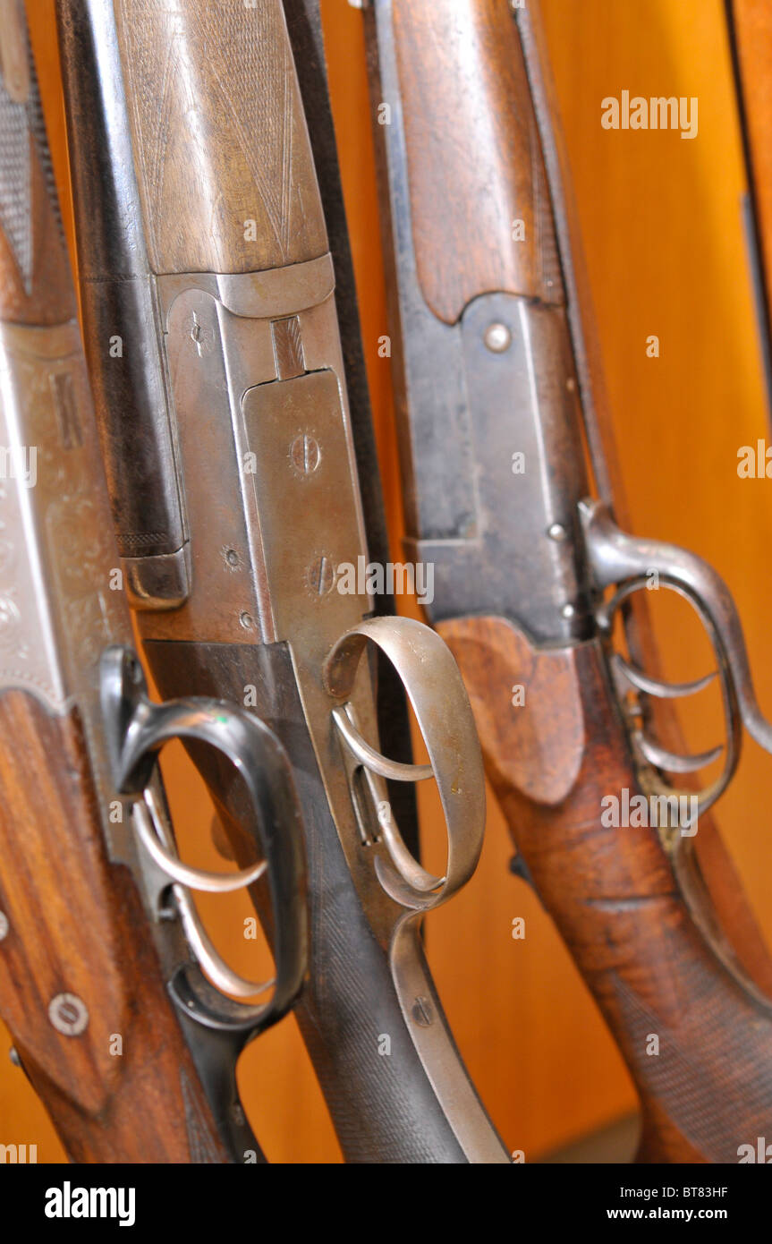 Various guns Stock Photo