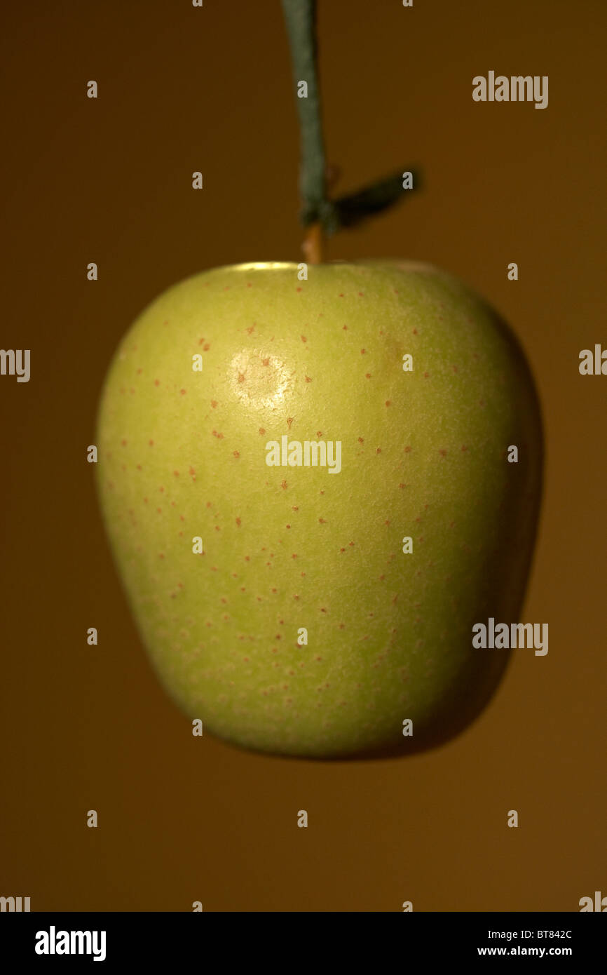 Snap game hires stock photography and images Alamy