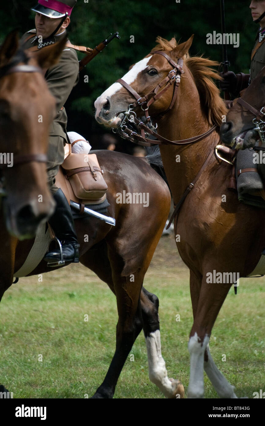 Cavalry soldiers on horses Stock Photo Alamy