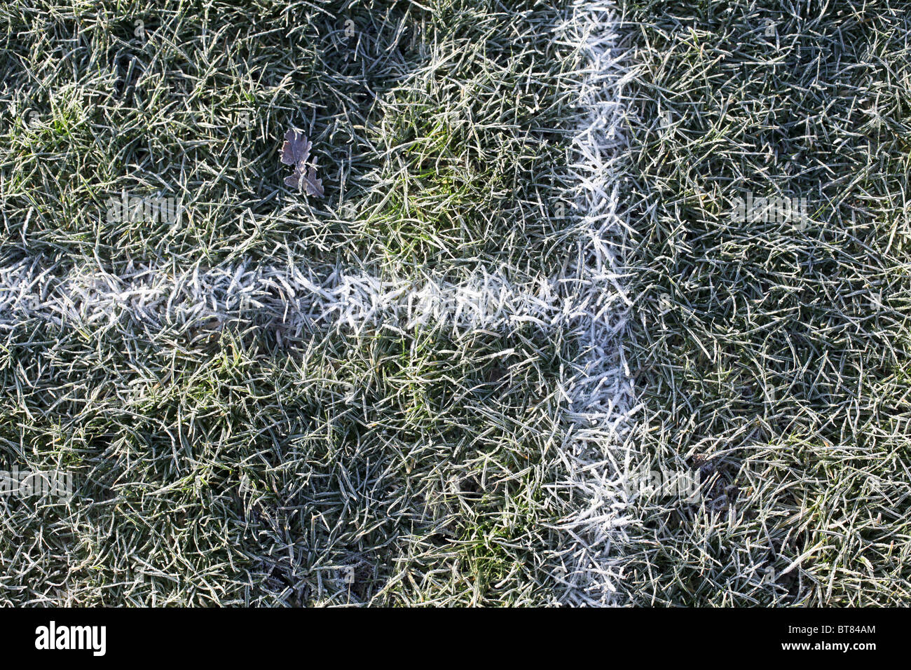 white lines on grass Stock Photo Alamy