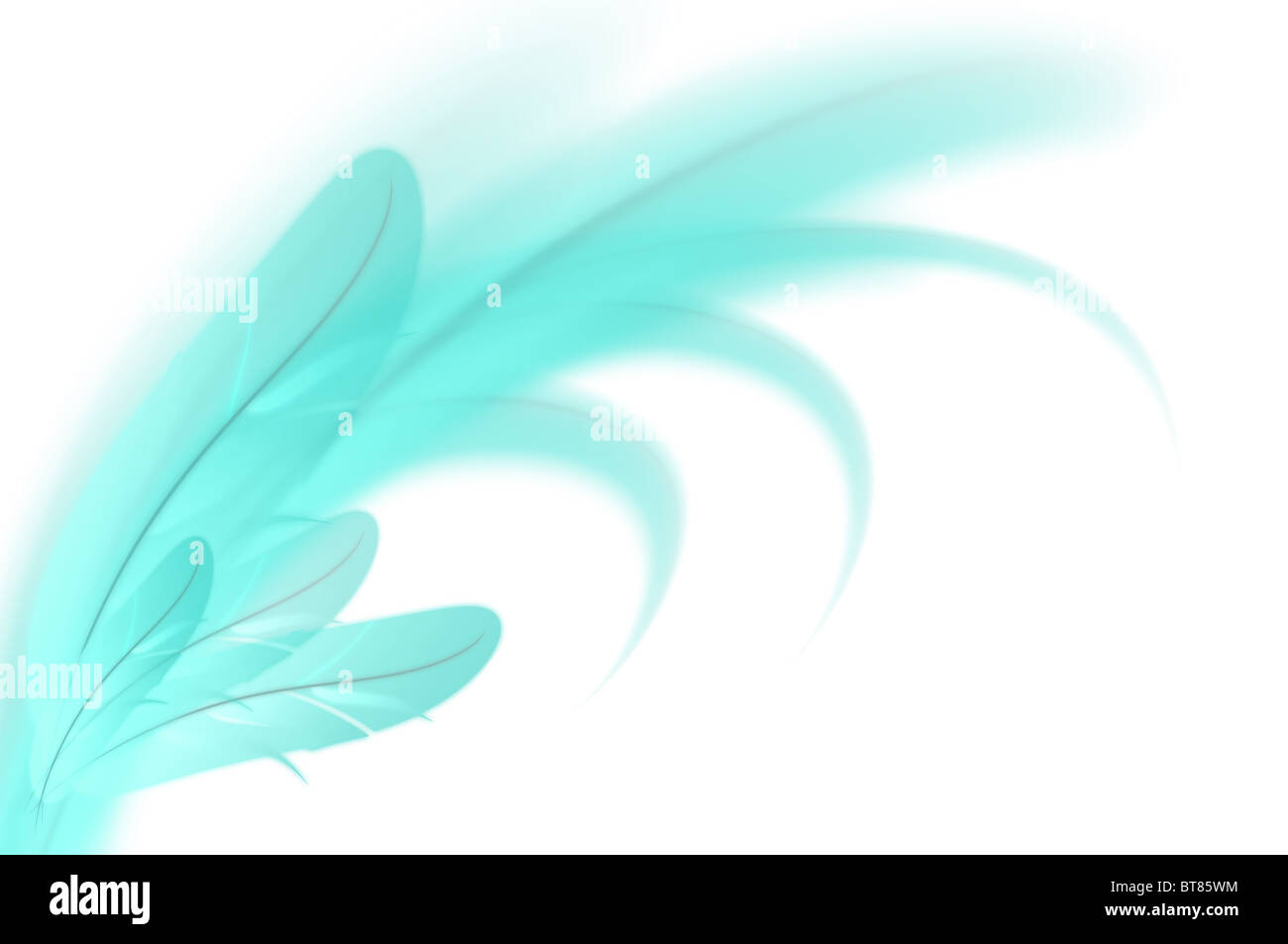 Abstract blue feathers illustration on white background Stock Photo - Alamy