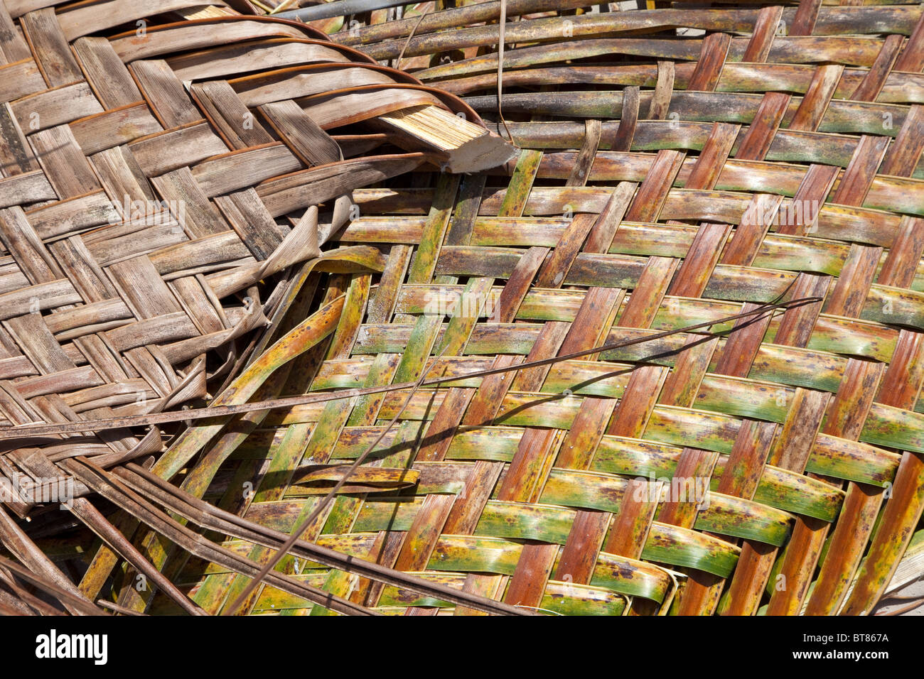 Palm Mat Stock Photos Palm Mat Stock Images Alamy