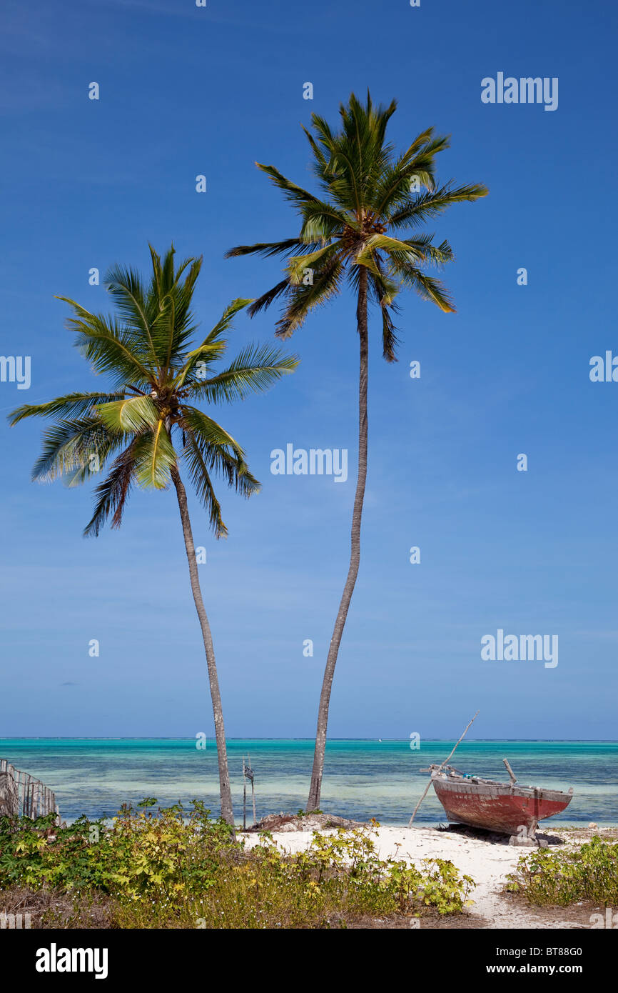 Jambiani, Zanzibar, Tanzania. Two Palm Trees, Indian Ocean in Background. Zanzibar's Eastern Shore. Stock Photo