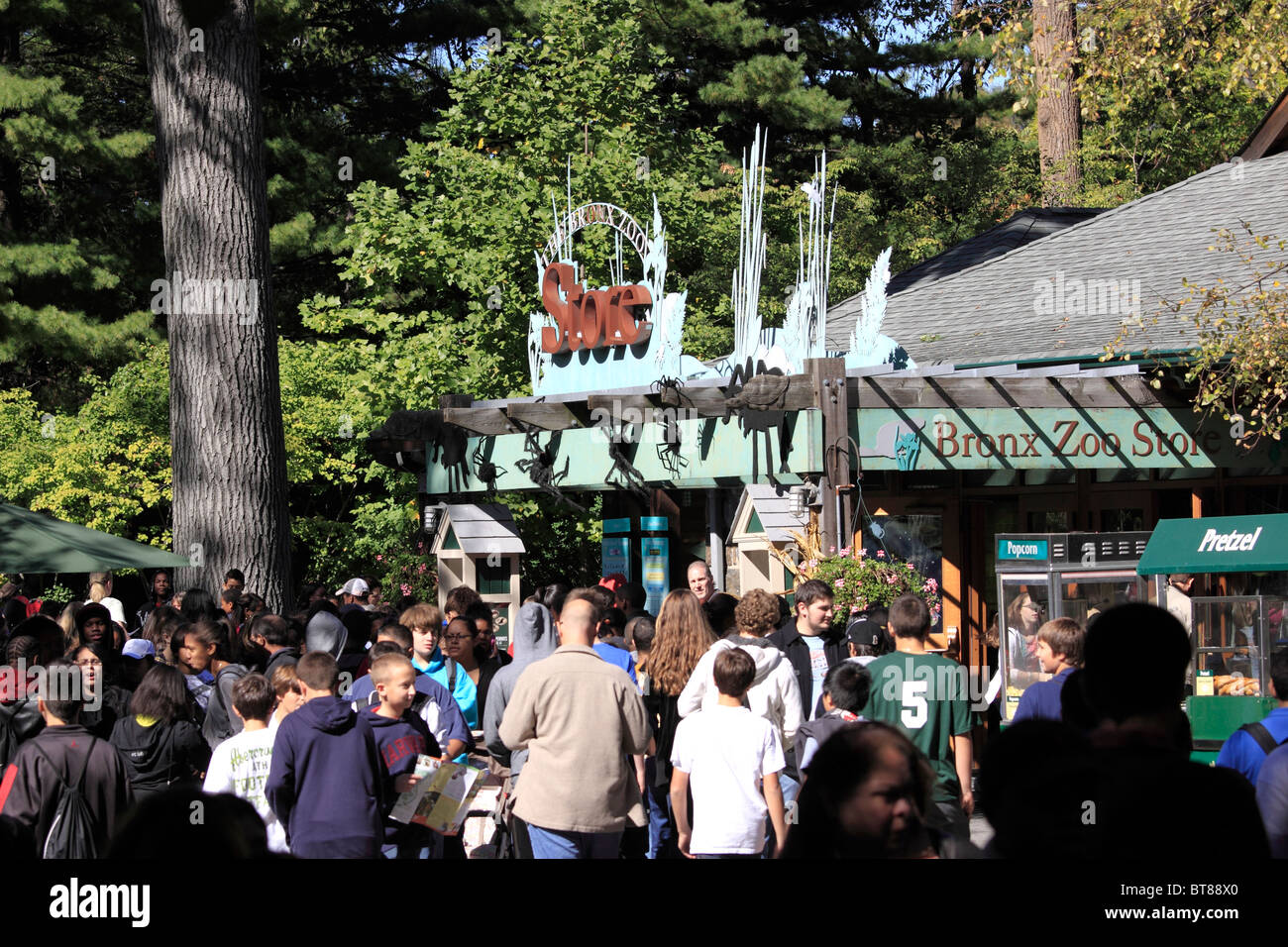 Gift shop at the Bronx Zoo, New York City Stock Photo