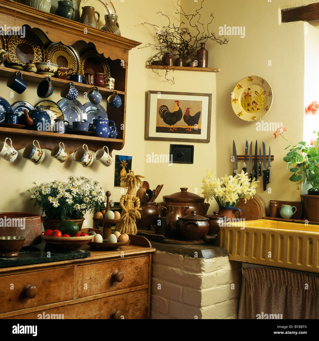 Blue China On Pine Shelves Above Old Wooden Chest Of Drawers In