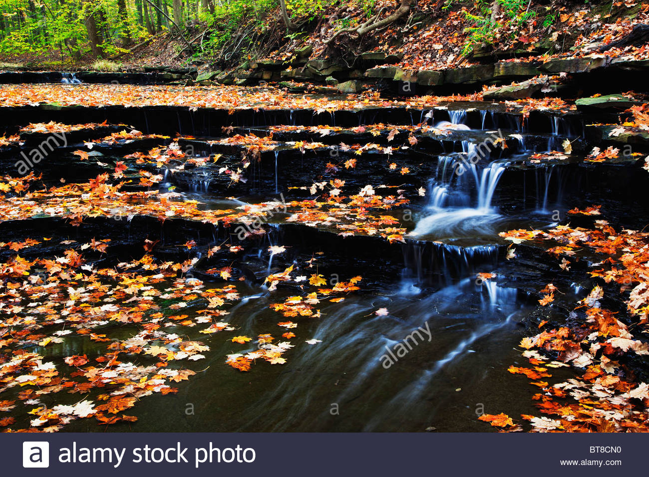 Buttermilk Falls Stock Photos & Buttermilk Falls Stock Images Alamy