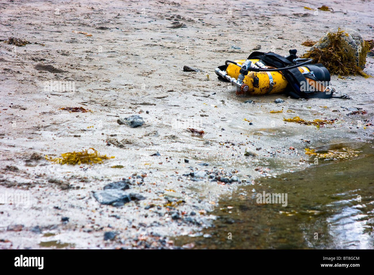 Yellow cylinders lying on sandy coast for diving Stock Photo Alamy