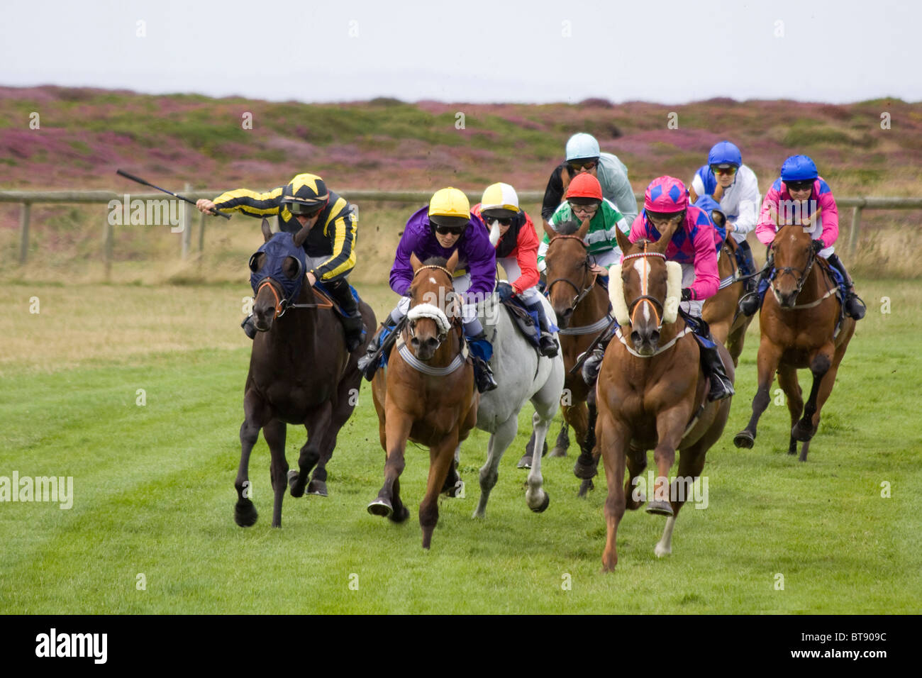 Horse racing in jersey Stock Photo