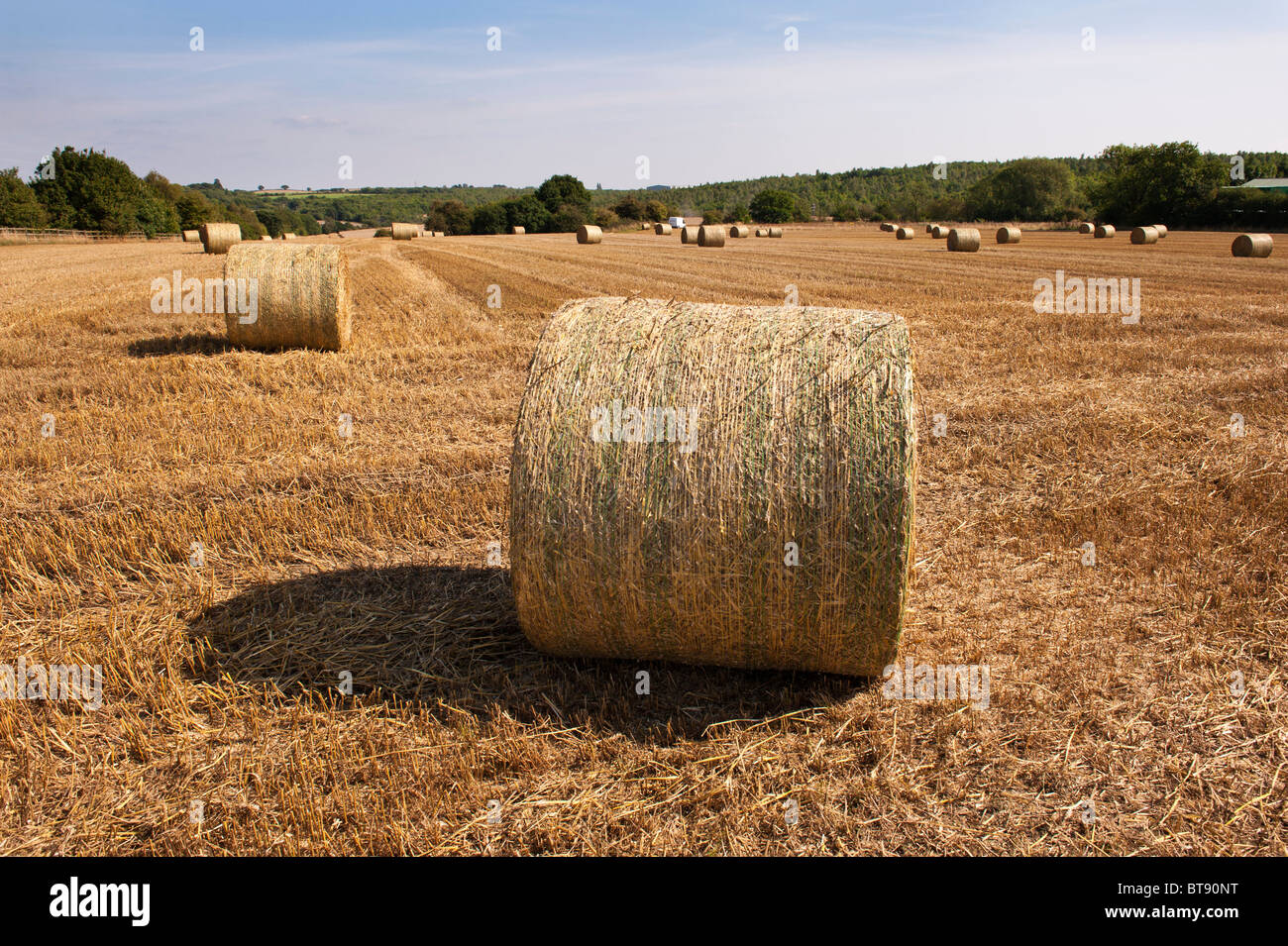Hay bales in a field in the Peak District, Derbyshire, England. Stock Photo