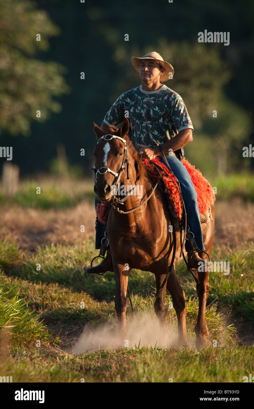 Man riding a horse in the Pantanal Stock Photo