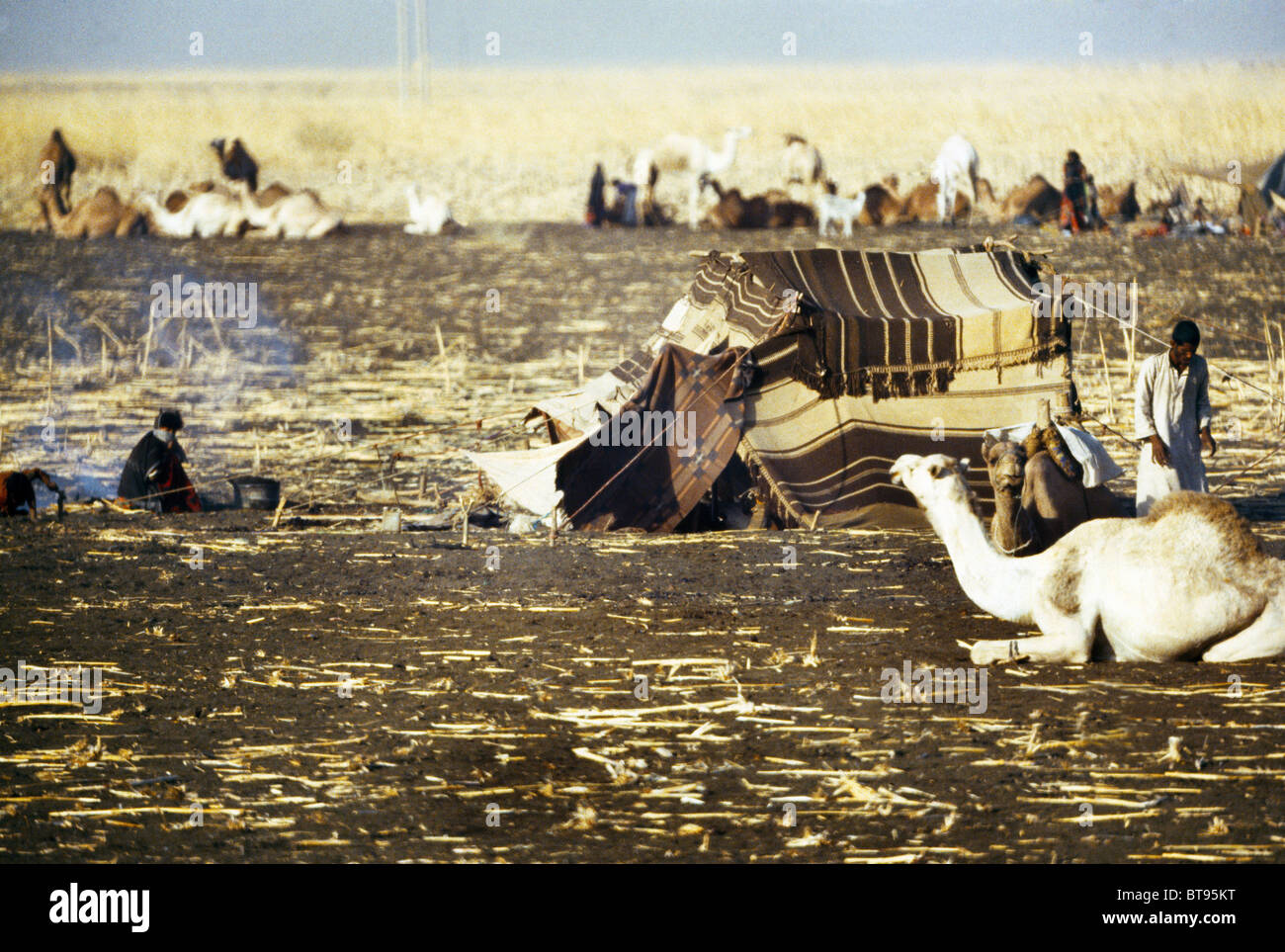 Rashaida Sudan Drought Nomads Stock Photo