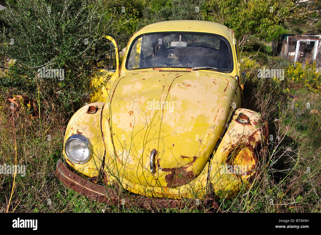 Old VW Beetle car rusting in field, Zakynthos, Ionian Islands, Greece Stock  Photo - Alamy