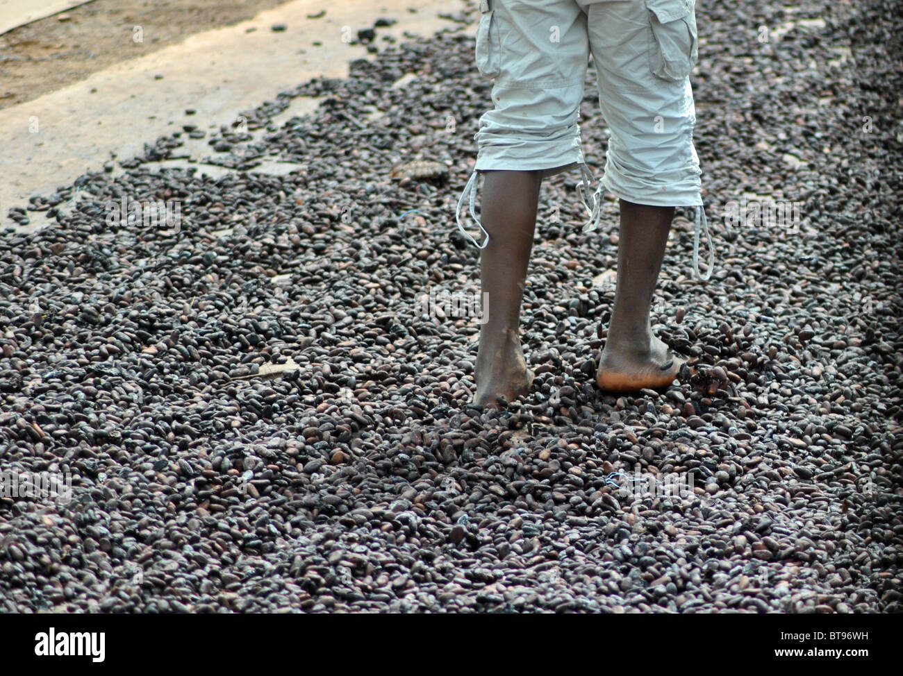Boy walking over cocoa beans drying in Ivory Coast, West Ivory Stock Photo