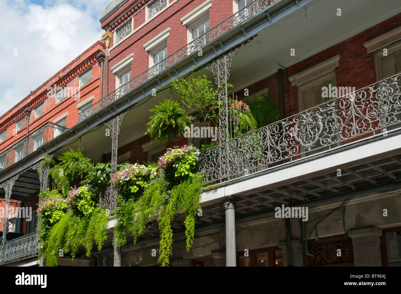 Louisiana, New Orleans, French Quarter, balcony with fern plants Stock