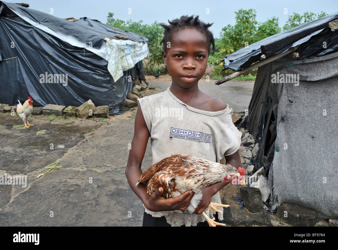 Liberian refugee girl with chicken in Tabou Transit Camp, Ivory Coast, West Africa Stock Photo