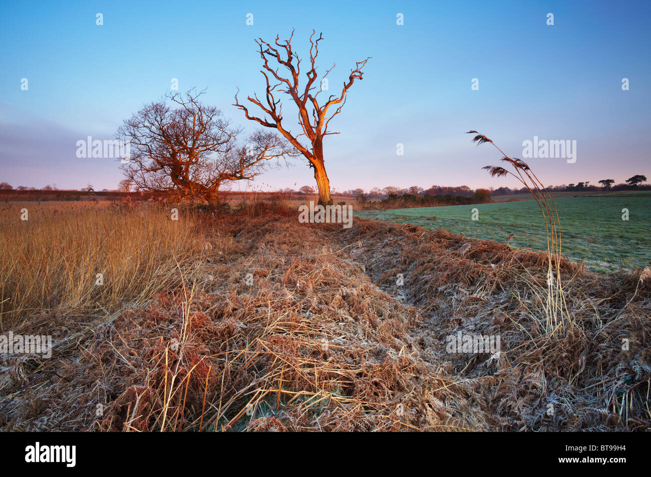 Benacre National Nature Reserve in Suffolk Stock Photo - Alamy