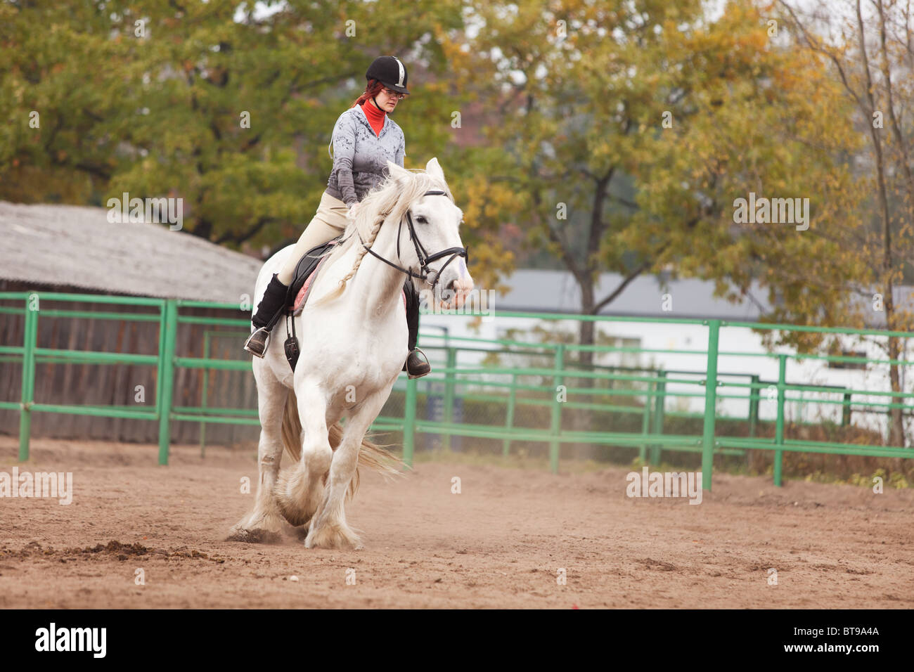 Young woman riding shire horse in arena Stock Photo