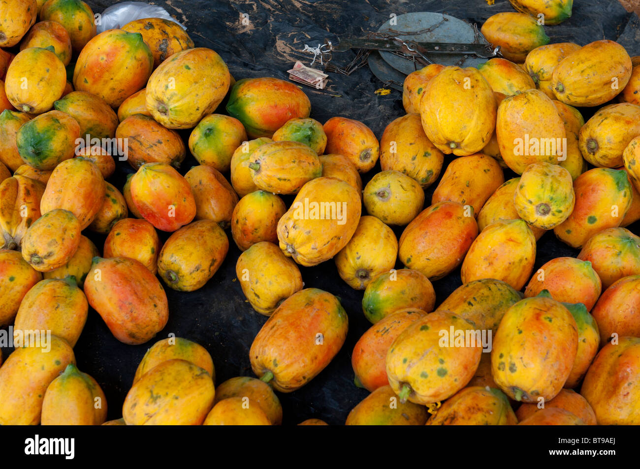Papaya for sale hires stock photography and images Alamy