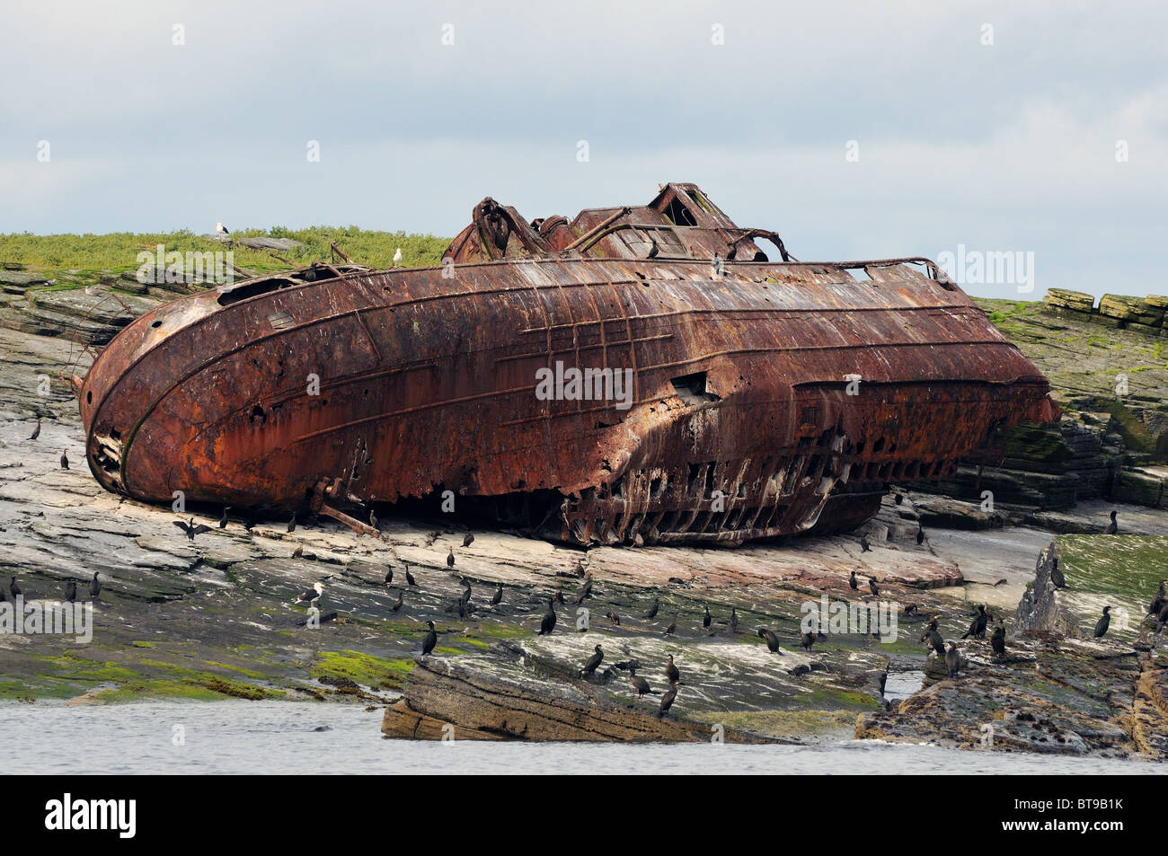 The wreck of Ben Barvis, Little Skerry, Pentland Skerries, Scotland Stock Photo